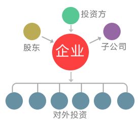 服務貓 軟件開發與信息技術咨詢服務的專業伙伴